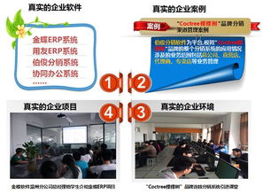 軟件與信息服務(wù) 信息技術(shù)系中的核心驅(qū)動(dòng)力